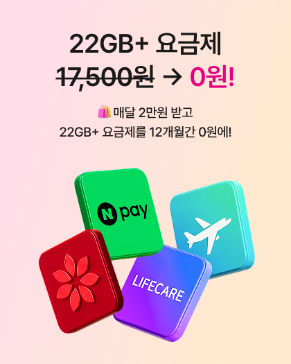 유심메인